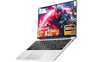 AUKABREX Ordenador Portáti de 15,6 Pulgadas, Win 11 PC Portátil 8GB LPDDR4 256GB SSD, Laptop Celeron N4000 CPU, Computadora Portatil 1920*1080 IPS FHD Pantalla, WiFi5/Mini-HDMI/BT4.2/USB3.0, Expansión SSD 1TB