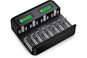 EBL Cargador de Pilas Inteligente, Cargador de batería de Ni-MH AA AAA C D, Universal Carga Rápida con Tipo C/Micro USB, Pant