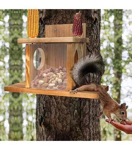 Wildtier Futterstelle Eichhrnchen Haus Futterstation Wetterfest Mit  Transparentfenster  Holz Futterhaus Fr Drauen
