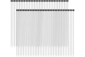 Hemobllo Insektennadeln aus Edelstahl: InsektPins für Entomologie für Entomologie, Trennung und Schmetterlinge Kollektionen Silber 100 Stück