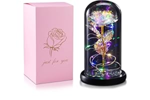 HADSOMUN Ewige Rose im Glas mit Lichter Frauen Künstliche Blumen Rosa Geschenke für Weihnachten Jubiläum Valentinstag Mama Freundin Oma 1 Stück