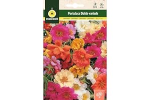 M MASCARELL SEMILLAS DESDE 1920 Mascarell Semillas, PORTULACA DOBLE VARIADA, Semillas Flores Exterior para Decoración, 0,5 Gramos