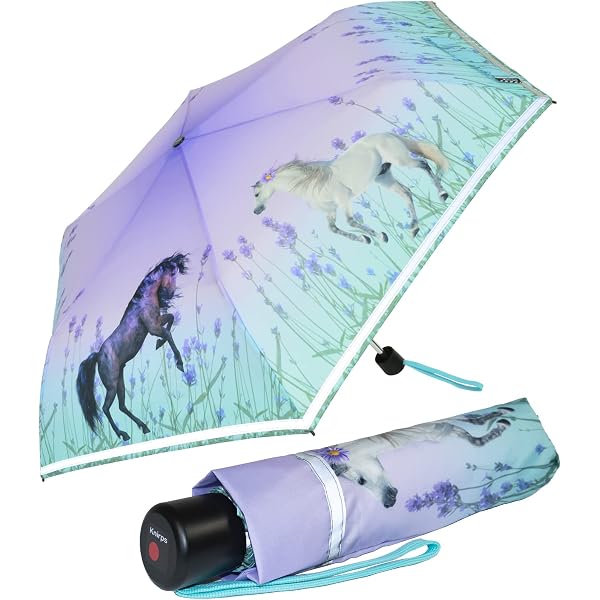 Parapluie Automatique Compact Herreicher - Envergure 98cm, Protection UPF50+, Léger 313g