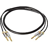 Amazon Basics Lautsprecher-Kabel mit Gold-beschichteten Bananensteckern - CL2 - 99,9 % Sauerstoff-frei, 0.9 m, Schwarz