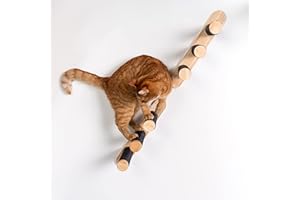 RHRQuality Katze Katzentreppe Set (2 stück) Kletterwand Wandmontage (Bis 20KG) 41 x 21,5 cm für große Katzen (Blackline)