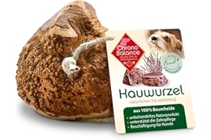 ChronoBalance® Korzeń do żucia dla psów M zabawka do żucia do pielęgnacji zębów, zabawka dla psa, wykonana w 100% z drewna korzeniowego, drążek do żucia do wzmocnienia uzębienia: naturalny, bez