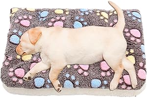 Rooeling Cat Blanket Throw - Kitten Blanket with Cute Paw Print Pattern | Super Soft Pet Blanket Flannel Throw for Dog Puppy Cat, Fits Most Pets