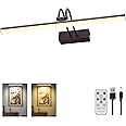 RAIFOOLLY Picture Light,2Colors Art Lights for Paintings,16" Battery Wall Light,Remote Control Accent Lighting with Timer and Dimmable for Frame,Portrait,Artwork-Black
