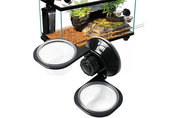 Reptilskål avtagbart väggfäste med sugkoppar för terrarium | Gecko matdispenser för ödla orm eremitbernard gecko leopard groda kameleont python spindel