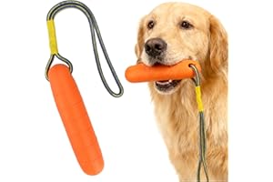 ZORVIXAL Wasser Interaktives Hundespielzeug, 22 cm Floating Hundespielzeug, Wasserspielzeug für Hunde, Hunde Spielzeug Schwimmend mit Nylon Rope, für Mittelgroße Große Hundes Trainieren Apportieren im Wasser