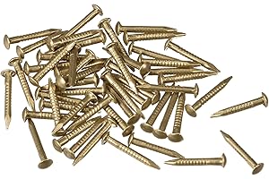 TOP-VIGOR 50Pcs Hardware Nails, 1.2mmx10mm Brass Nails and Pins Assortment, Wall Pins Tacks Nails for Woodworking, Panel Pins for Hanging Picture, Frame, Mirror, Furniture, Construction
