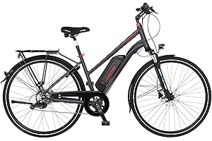 ‎FISCHER Fischer E-Bike Trekking, VIATOR 1.0 Elektrofahrrad für Damen, RH 44 cm, Hinterradmotor 45 Nm, 48 V Akku, dunkel anthrazit matt, 28 Zoll