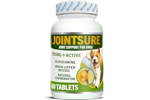 JOINTSURE Young & Active Joint Supplements for Dogs and Puppies Aids Joint Stiffness - High Levels of Glucosamine & Green Lipped Mussel - Pack of 60 Tablets