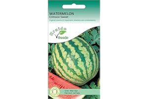 KRAIDO SEEDS Watermelon Seeds for Planting UK - Crimson Sweet - 20 Seeds