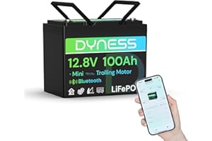 Dyness Batteria LiFePO4 12V 100Ah Bluetooth, Mini Batteria al Litio con BMS 100A, Protezione a Basse Temperature, per Nautica, Camper, Impianti Solari off-grid