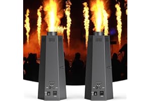 ZonQoonz Flammenwerfer, 2PC 150W Flammenprojektor mit DMX Controller, Dj Jet Flame Machine für Konzerte, Shows, Partys, Halloween, Weihnachten, Sportevents