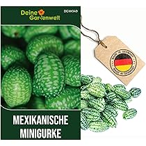 Melonenbirne Birnenmelone Pepino Samen - Solanum muricatum -  Melonenbirnensamen - Obstsamen - Saatgut fr 6 Pflanzen : Amazon.de: Garten