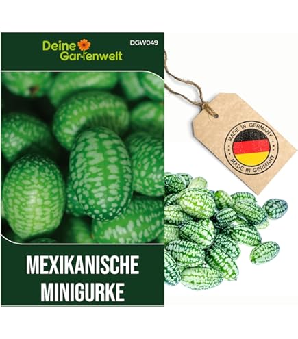 Drr-Samen - Bananenbaum mehrjhrig bis 200 cm Saatgut : Amazon.de: Garten