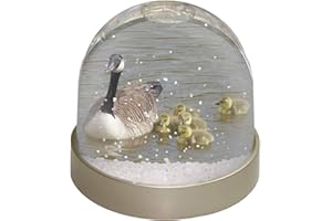 Advanta Group Canadian Geese and Goslings Photo Snow Globe Waterball