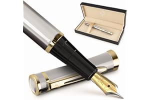 Wordsworth & Black - Juego de plumas estilográficas extrafinas, incluye 6 cartuchos de tinta y un convertidor de recarga de tinta, estuche de regalo, para diarios o caligrafía, plateado y dorado