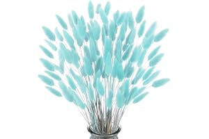 FANNAS Tiffany Blue Pampas Grass Dried Flowers Decoration, Pack of 60 Rabbit Tails Pampas Grass Dried Flowers, Natural Pampas Grass Dried Flowers for Flowers Arrangements Home Decor
