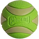 Chuckit! Max Glow Squeaker Gece Parlayan Sesli K&ouml;pek Oyun Topu - Y&uuml;ksek Zıplama G&uuml;c&uuml;, Doğal Kau&ccedil;uk, Suda Batmaz