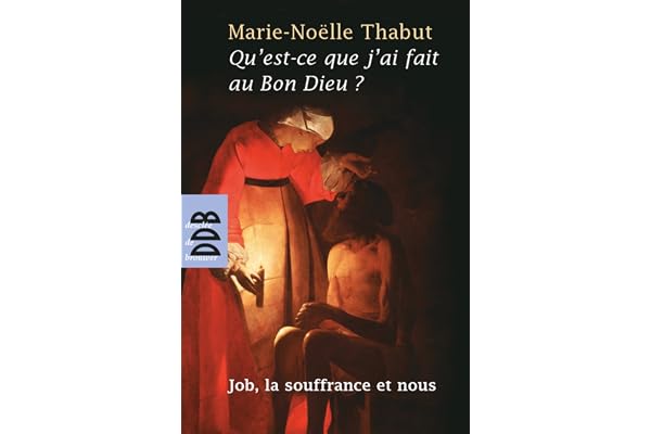Qu'est-ce que j'ai fait au Bon Dieu ?: Job, la souffrance et nous