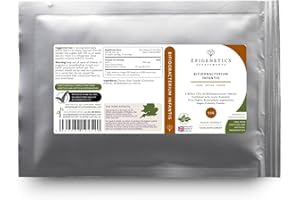 EPIGENETICS Bifidobacterium Infantis 15g | 5 Billion CFU Probiotic + Chicory Root Prebiotic (Inulin) | Probiotics for Children and Adults | Vegan Friendly Powder UK Made | 1g Daily (15 Servings)