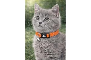 katthalsband - kattunge Elza orange 15–22 cm – elastisk nylon reflex med bjällra
