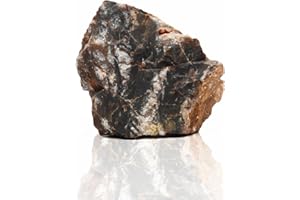 Amtra - Petrified rock, aquarium decoration, natural, non-limestone, random piece/weight