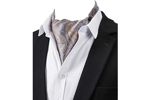 STTLZMC Cravatta Uomo Paisley Floreal Ascot Fazzoletti Tessuto in Seta Matrimonio Business