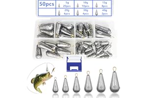 XSHAO 50 PCS Plomb Peche Mer, Poids de Pêche 5 g/ 10 g/ 15 g/ 20 g/ 30 g/ 40 g avec Boîte de Rangement pour Pêche en Plein Air et Mer