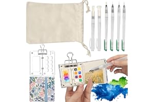 BigKing Mini Aquarell Travel Set, Reise Mini Palette,Pocket Aquarell Set,Tragbares Mini-Aquarell-Paletten Set-mit Aufbewahrungstasche - mit Clip -mit 6 Bürsten für Künstler (Transparente Farbe)
