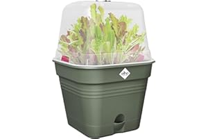 Elho Green Basics Growpot Square Allin1 15 - Vasetti per Piantine - Ø 15.0 x H 12.1 cm - Verde/Leaf Green