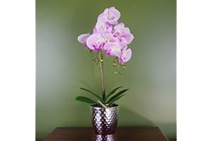 ‎LEAF Leaf Künstliche Phalaenopsis-Orchidee, 50 cm, Hellrosa/silberfarben