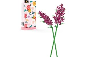 ‎JMBRICKLAYER JMBricklayer Blumenstrauß Bausteine, Blumen Sets für Erwachsene, Aesthetic Room Decor, Botanical Collection, Geschenke für Frauen,Mutter,Ehefrau,Freundin(2 Leberbalsam)