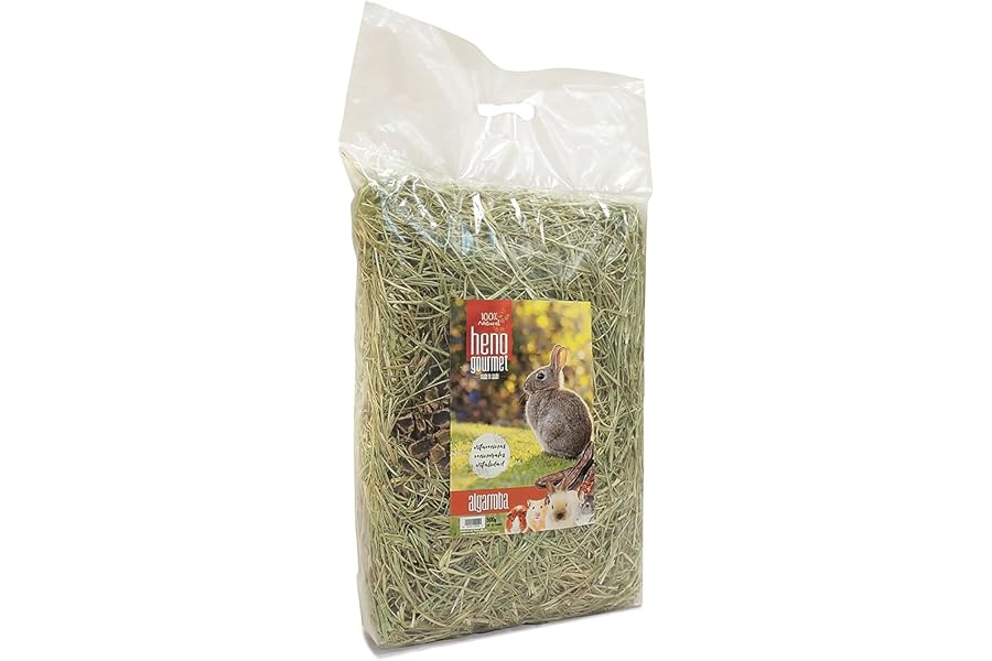 HENO GOURMET - Con Algarroba para Roedores, 500 g, 100% Natural, Alto Contenido en Fibra para Digestión y Desgaste Dental, Id