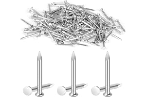 300 Stycken Naglar, 20 mm Stålnaglar Betong, Små Naglar för Betongväggar Silverpläterad Zink, Betongnaglar, Spik, Träarbete T