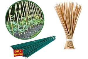 DOKADO Pflanzstäbe 25 bis 180 cm Natur o. Grün Pflanzen Stütze Rankhilfe Splittstäbe Holzstab Bambus Stab Bambusstäbe Bambusstange Pflanzen Stütze Alu, Rankstäbe:Splittstäbe 30 cm 200er