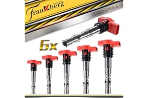 ‎FRANKBERG Frankberg 6x Zündspule Zündmodul Kompatibel mit A4 8E2 2.0L 3.0L 2000-2004 A4 8EC 3.0L 2004-2006 A4 Avant 8E5 2.0L 3.0L 2001-2004 A4 Cabriolet A6 A8 A6 Avant Replace# 06C905115E