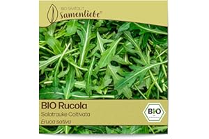 Samenliebe BIO Rauke Samen Salatrauke Coltivata mild nussiges Rucola Salatkraut grün 300 Samen samenfestes Kräuter Saatgut für Gewächshaus Freiland und Balkon BIO Kräutersamen winterhart