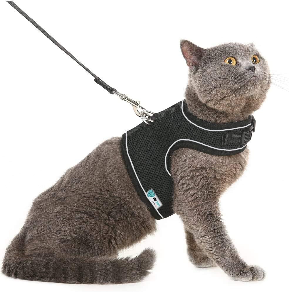 BYPET Yeni Nesil Nefes Alabilen Kedi Göğüs Tasması Seti (Small, Siyah)