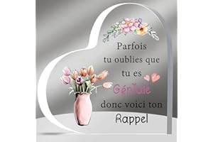 HZBLAZ Plaques Acryliques Coeur Source Inspiration Cadeau Amie Anniversaire Obtention Diplôme Souvenirs de Noël Encourager Soeur Cousine Nièce Retour à l’École Appréciation Femmes Tournesol Motif