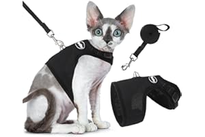 BINGPET Escape Proof Cat Harness and Lead Set, Escape-Proof Cat Kitten Harness with Leash Set for Walking - Adjustable Soft Mesh Holster Style - Best for Kitten Walking Outdoor Walking