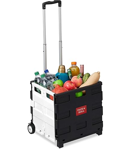 Chariot De Manutention First 150 Kg – Transportez Vos Charges En Toute Sécurité