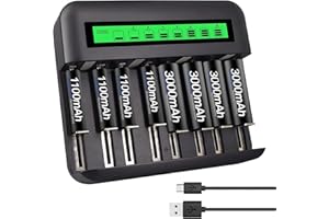 CITYORK LCD Universal Ladegerät für AA AAA C D Batterien, Typ C und Micro USB Eingang, Mischpackung mit 4 x 3000mAh AA und 4x 1100mAh AAA NI-MH Batterien
