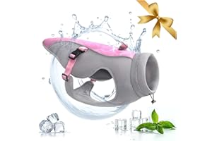 Vivi Bear Hundekühlweste mit Geschirr D-Ring für Laufen, Wandern, Bergsteigen Atmungsaktive Mesh-Hundejacke Sommer kühl und bequem Hundemantel einstellbar geeignet für mittelgroße kleine Hunde, M