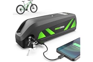 PANDA CYCLE Batería para Bicicleta eléctrica 36V 48V 22.4AH para Motor de 200W-1100W,Hailong Batería de Litio con Cargador, Batería Ebike, bateria Litio Puerto USB