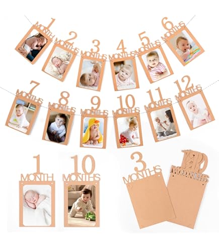 Bannière Photo Mensuelle Wild One, Bannière Safari Dans La