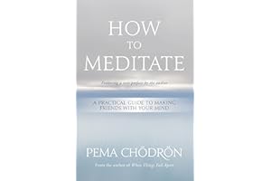 How to Meditate: A Practical Guide to Making Friends with Your Mind